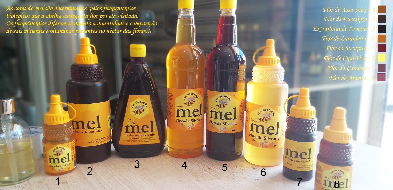 Mel de abelha: as variações de cores, sabores e propriedades