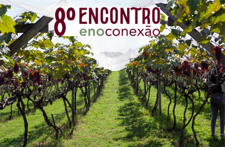 8º Encontro Enoconexão: Diversificação abre oportunidades para a vitivinicultura e o enoturismo do interior paulista