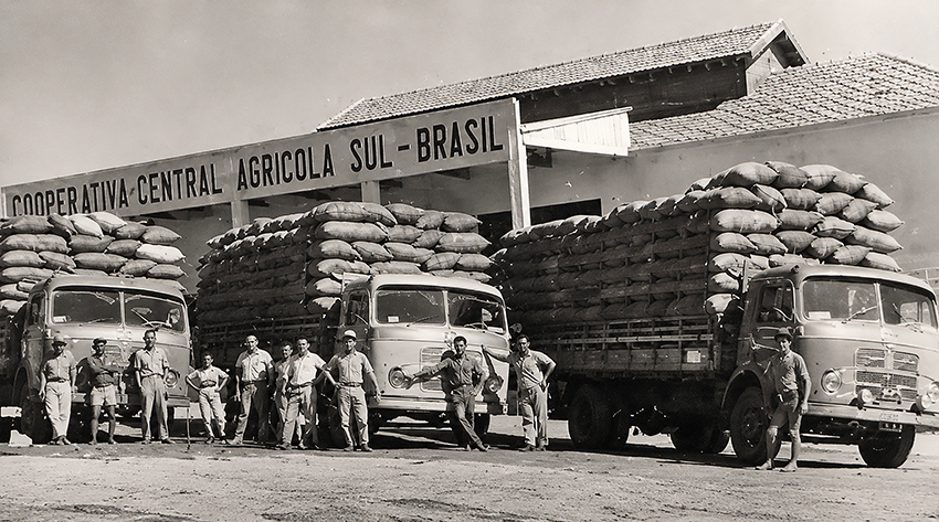 A força do campo: Como o cooperativismo nikkei transformou a agricultura brasileira
